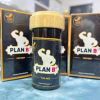 Yangicha kuch blan Plan B