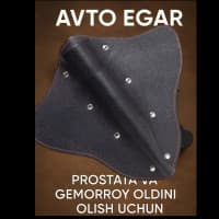 Skat avto egari — prostata va gemorroydan saqlanish uchun Doktor D tavsiyasi.