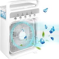 Fan Ice